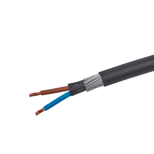 2 core 6 mm² SWA armoured cable